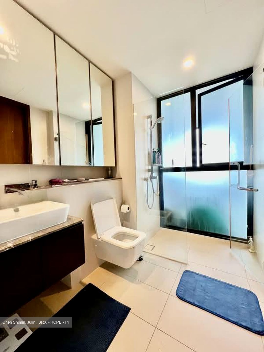 Spottiswoode Residences (D2), Condominium #627450251